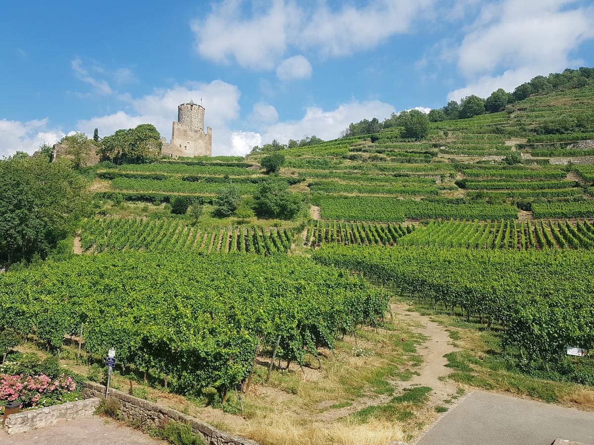Kaysersberg City Center - Cote Vignoble - Экстерьер фото